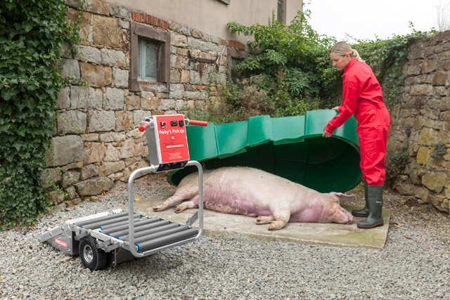 Porky's Pick Up XL zum Kadaverabtransport von Tieren bis 300 Kg Mit dem Porky's Pick Up XL können große Sauen bis 300 Kg bequem aufgeladen, zum Kadaverplatz transportiert und abgeladen werden. Selbst ein geschotterter Hof stellt kein Hindernis dar.