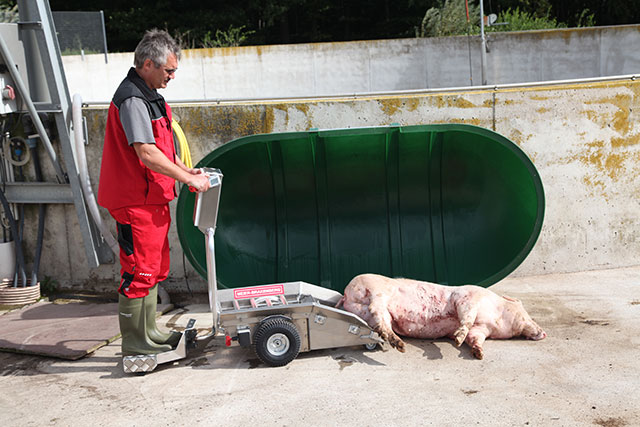 Porky's Pick Up am Kadeverplatz bei der Entladung Am Kadaverplatz entläd der Anwender das tote Tier - ähnlich wie beim Aufnehmen über die Förderwalzen des Porky's Pick Up.