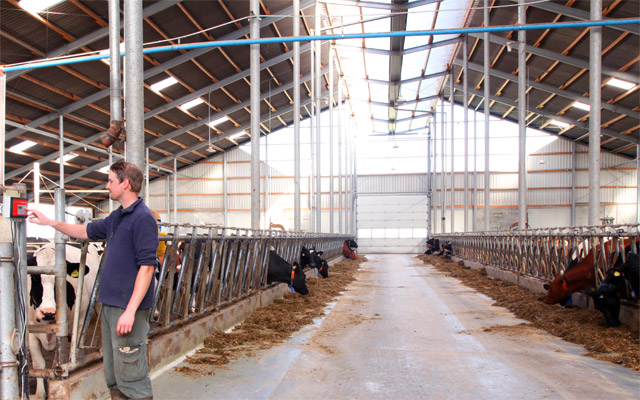 Niederdruckkühlung im Milchviehstall Die Niederdruckkühlung erziehlt im Milchviehstall enorme Erfolge im Erhalt der Milchleistung, durch gesteigertes Wohlbefinden der Tiere und damit gleichbleibende Futteraufnahme.