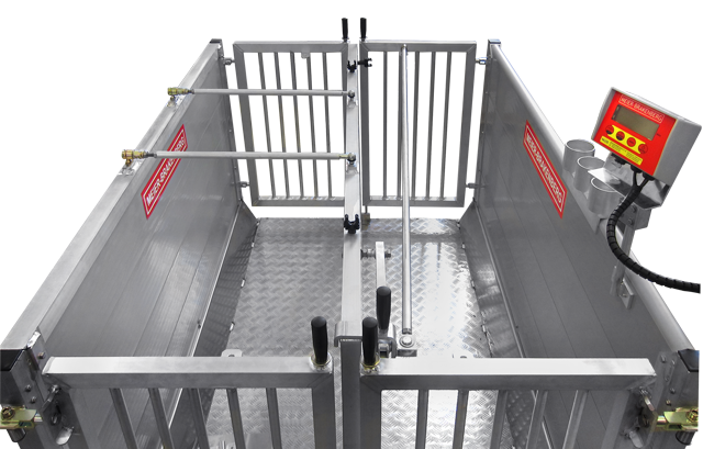 Stationäre Sonderwaage Stationäre Waage mit individuell konstruiertem Selektionsgitter.