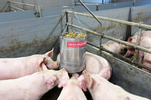 Porky's Fun Box is ideal for roughage feed in pigsties. The Fun Box offers long-lasting distraction. In the picture clearly illustrated: The Fun Box offers place and distraction for 5 or more animals at the same time.