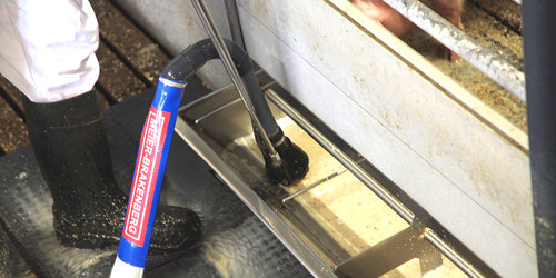 Trogsauger Speedy Trogsauger Speedy