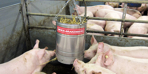 Porky's Fun Box in der Mastbucht Die Porky's Fun Box eignet sich ideal zur Rauhfuttergabe im Schweinestall. Es bietet den Tieren eine dauerhafte Beschäftigungsmöglichkeit. Im Bild sehr gut ersichtlich: an der Fun Box finden 5 und mehr Tiere Platz und Beschäftigung.