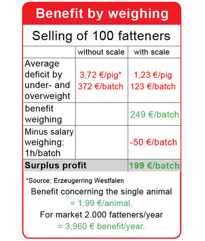 Study of German producers association "Erzeugerring Westfalen" concerning the using of Meier-Brakenberg mobile scale for fatteners. Target of this survey: how I can market fatteners by optimum weight and with maximum benefit.